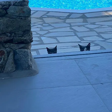 Cavo Blue Villa Elia (Mykonos)