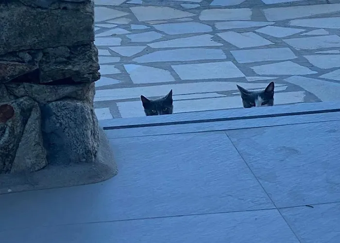 Cavo Blue Villa Elia (Mykonos)